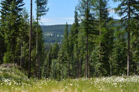 NHN Logan Creek Road, Whitefish, MT 59937