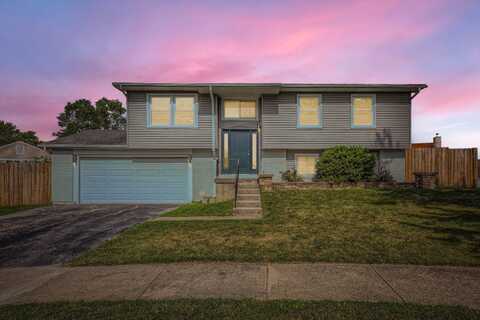 5611 Allemong Drive, Matteson, IL 60443