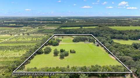 16450 67th Pl, Morriston, FL 32668