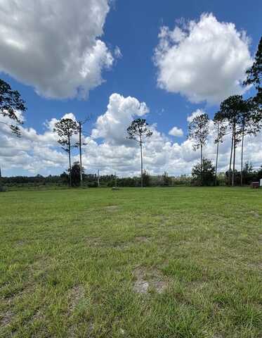 190 636th St, Old Town, FL 32680