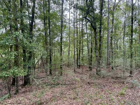 0 Doug South Drive, Milton, FL 32570