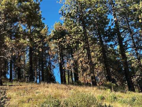 1 Conway Dr Drive, Running Springs, CA 92382