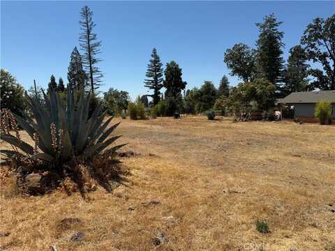 5797 Inez Way, Paradise, CA 95969