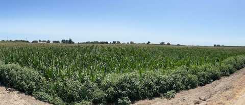 12837 Douglas Avenue, Hanford, CA 93230