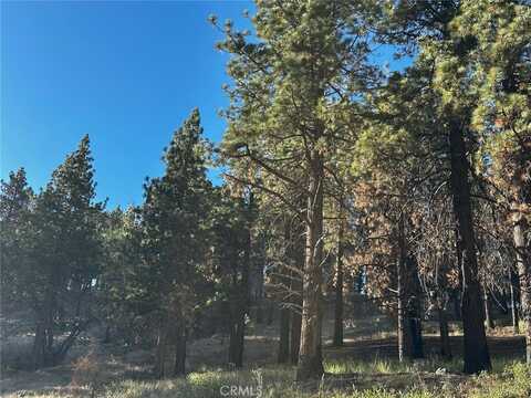 1 Crest Forest Drive, Cedarpines Park, CA 92322