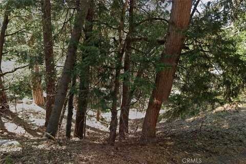 1 Crest Forest Drive, Cedarpines Park, CA 92322