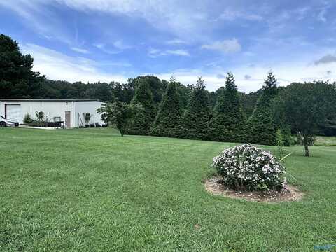 8971 County Road 14, Flat Rock, AL 35966