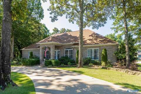 20214 Capitol Hill Drive, Tanner, AL 35671