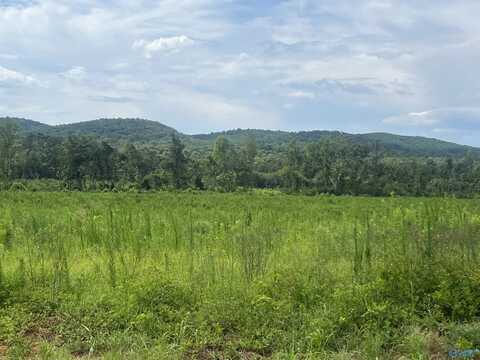 3215 Hwy 68 E, Gaylesville, AL 35973