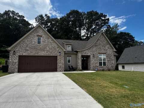 128 Tumbleweed Drive, Guntersville, AL 35976