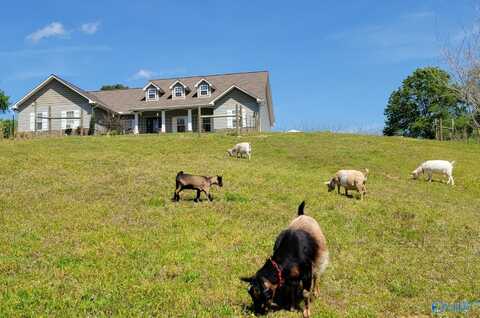 256 Pentecost Road, Eva, AL 35621
