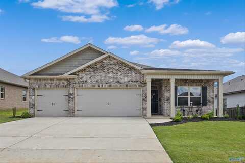 13216 New Foal Lane, Madison, AL 35756