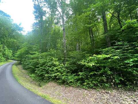 Lot 18 Skyview at Wildlife Acres, Hayesville, NC 28904