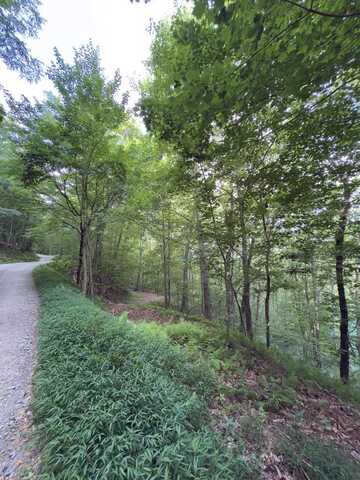 Lot 20 Locust Lane, Morganton, GA 30560