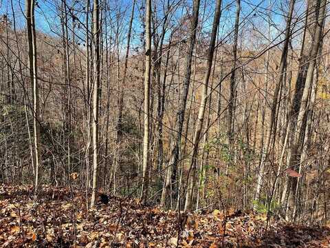 Lot 49j Indian Trail, Hayesville, NC 28904