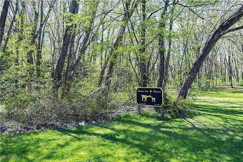 V/L Townline Road, North Perry, OH 44057