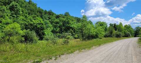 Bailey Long Rd, Bethesda, OH 43719