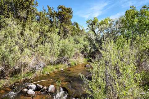 C3 and C4 LANDS OF CLYDE SMITH, Jemez Springs, NM 87025
