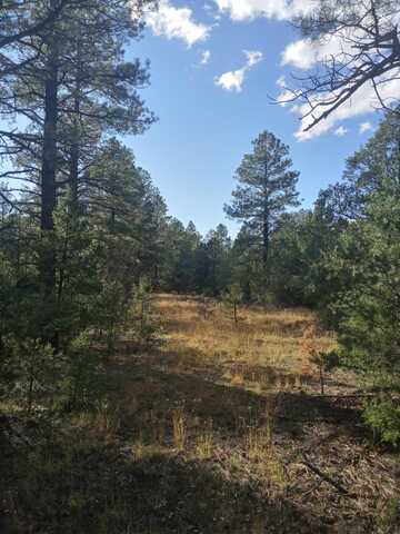 Yucca Drive lot: 15, Ramah, NM 87321