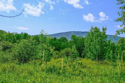 00 Town Farm Road, Ludlow, VT 05149