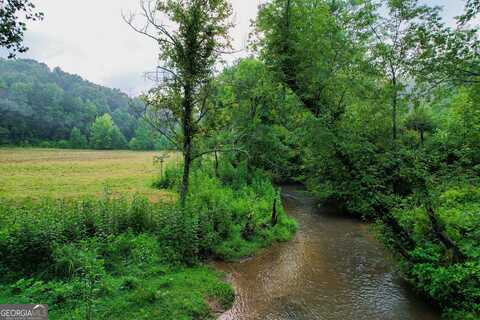 1055 New Liberty Trail, Ellijay, GA 30536