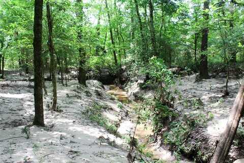 2733 County Road 1560, Grapeland, TX 75844