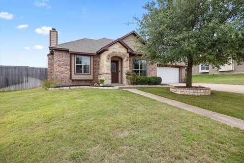 115 Camelot Street, Glen Rose, TX 76043