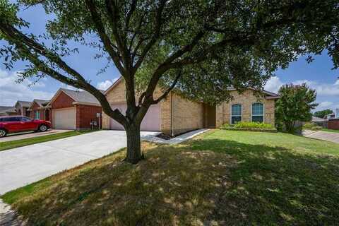 6710 Waterlilly Drive, Arlington, TX 76002