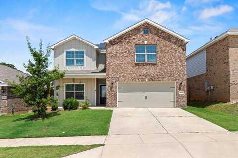 317 Blue Buffalo Street, Fort Worth, TX 76120