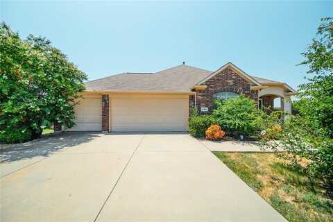 2100 Benjamin Creek Drive, Little Elm, TX 75068