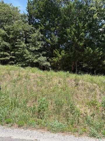 N Chickasaw Street, Colbert, OK 74733