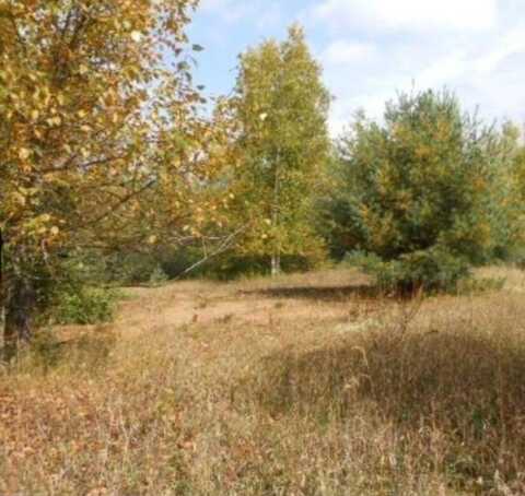 00 Pueblo Trail, Evart, MI 49631