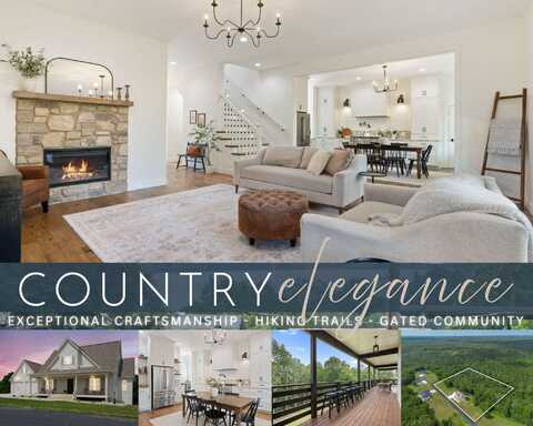 893 Hidden Springs Lane, Reeds Spring, MO 65737
