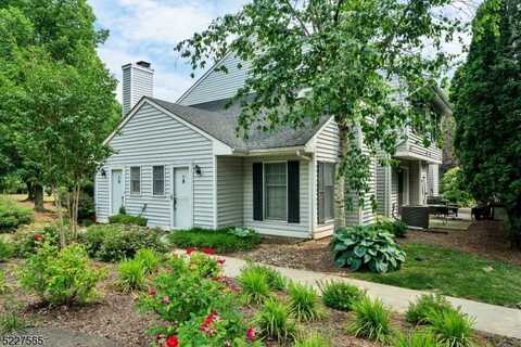 21 Owl Ct, Readington, NJ 08887