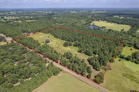 TBD Co RD 462, Mineola, TX 75773