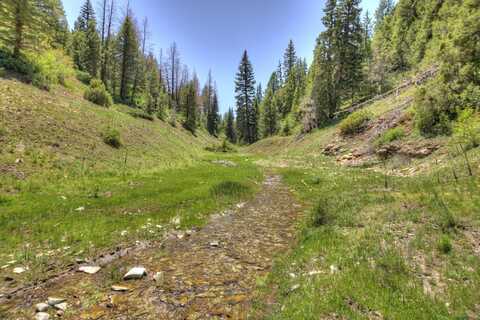 TBD County Road 249, Rifle, CO 81650