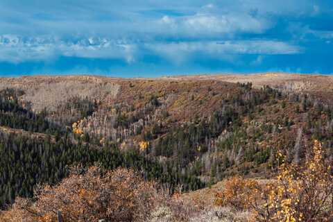 TBD County Road 249, Rifle, CO 81650