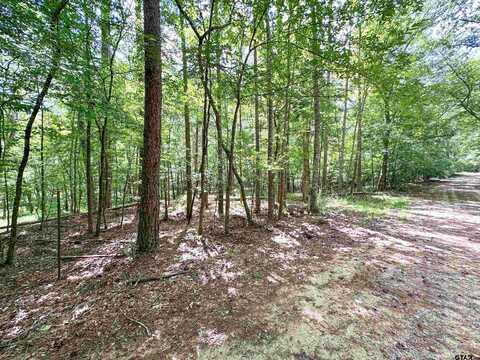 0 An County Road 3194, Frankston, TX 75763