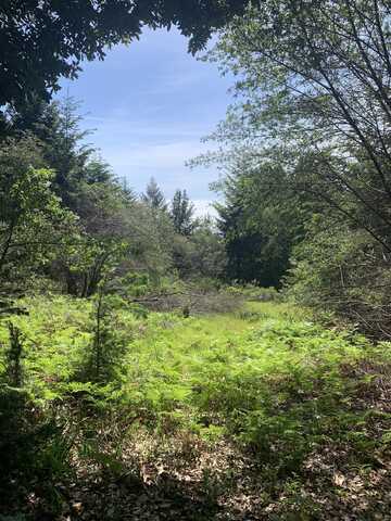454 & 474 Forest Road, Shelter Cove, CA 95589