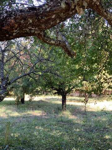 236 & 240 Orchard Way, Myers Flat, CA 95554
