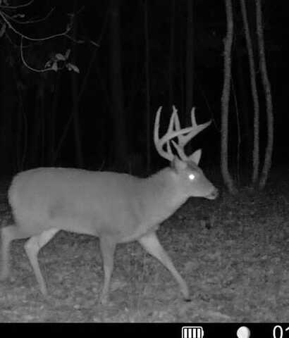 0 Old HWY 51 NE, Brookhaven, MS 39601