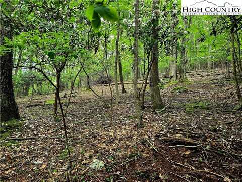 Tbd Red Fox Ridge, Boone, NC 28607