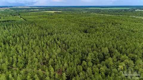 19.58 Sage Forest Ln, Pace, FL 32571