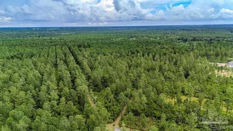 55 Sage Forest Ln, Pace, FL 32571
