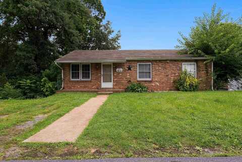 910 CAROL AVE, SHENANDOAH, VA 22849