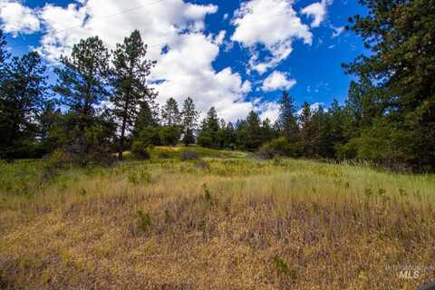 0 Whitetail Drive, Ahsahka, ID 83520