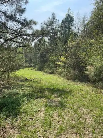 00 Hoadley Road, Poplarville, MS 39470