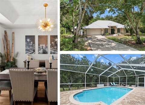 751 E Reehill Street, Lecanto, FL 34461