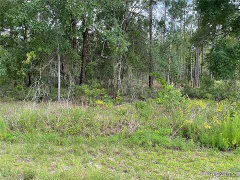 NW Falcon Avenue lot: 3, Dunnellon, FL 34431