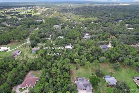 787 E Reehill Street, Lecanto, FL 34461